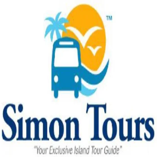 Best Tours and Airport Transfers in Jamaica